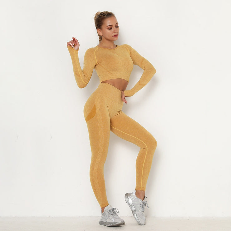 New Seamless Women Gym Set Long Sleeve